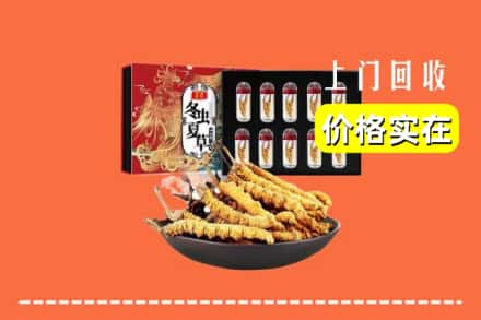 双阳区回收冬虫夏草