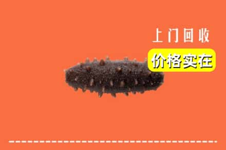 收购资讯:双阳区回收海参