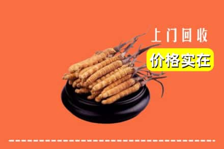 双阳区回收冬虫夏草