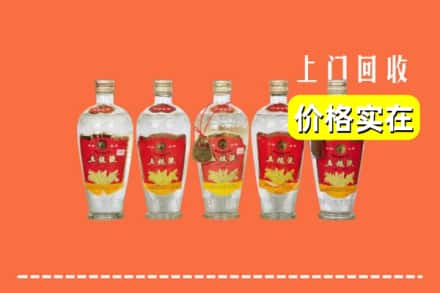 双阳区回收老五粮液